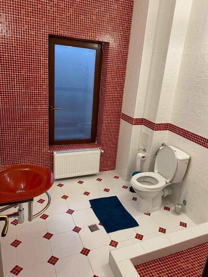 SînpetruCasa Tita别墅 外观 照片